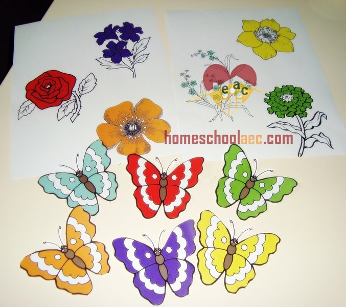 butterfly activity