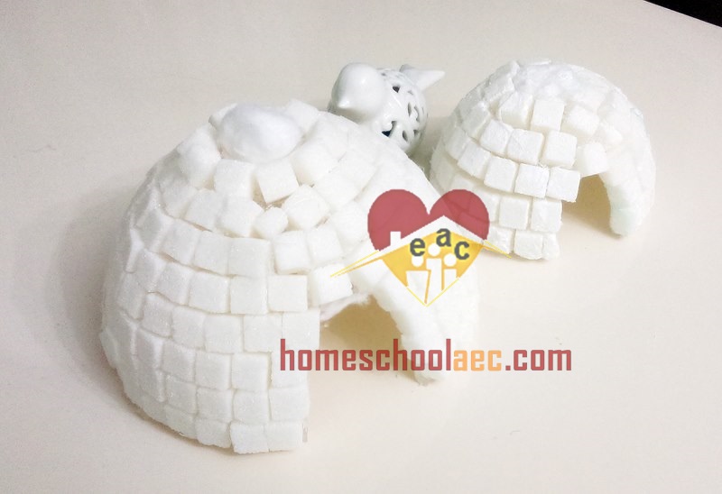 how to make an igloo craft