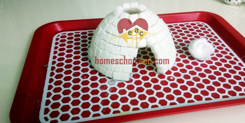 igloo craft for toddlers