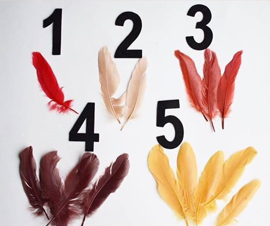 FEATHER COUNTİNG
