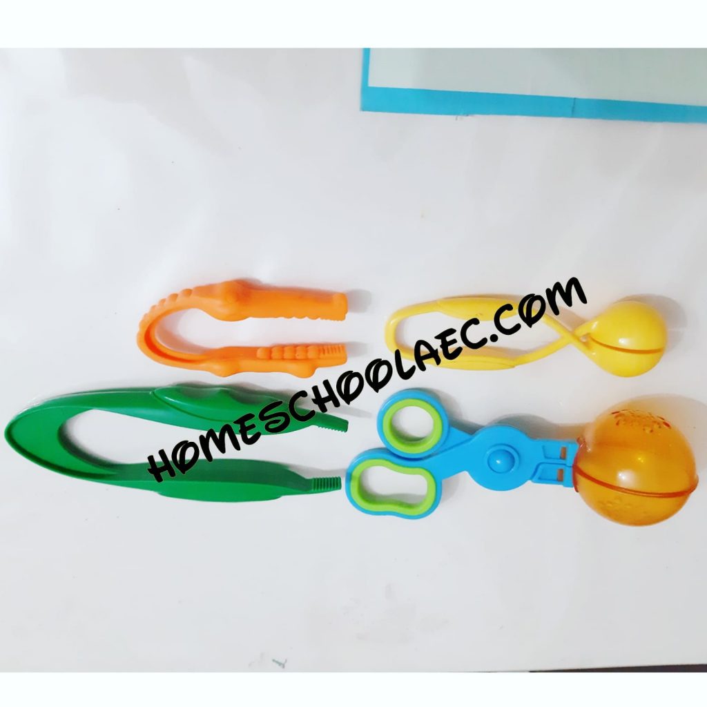color matching and fine motor skills activity